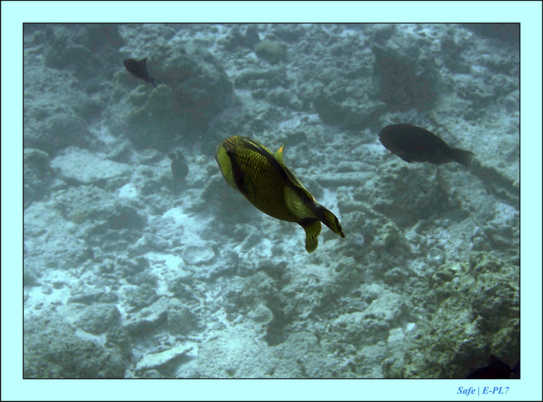 2023 - 07 - Sandies Bathala - 149